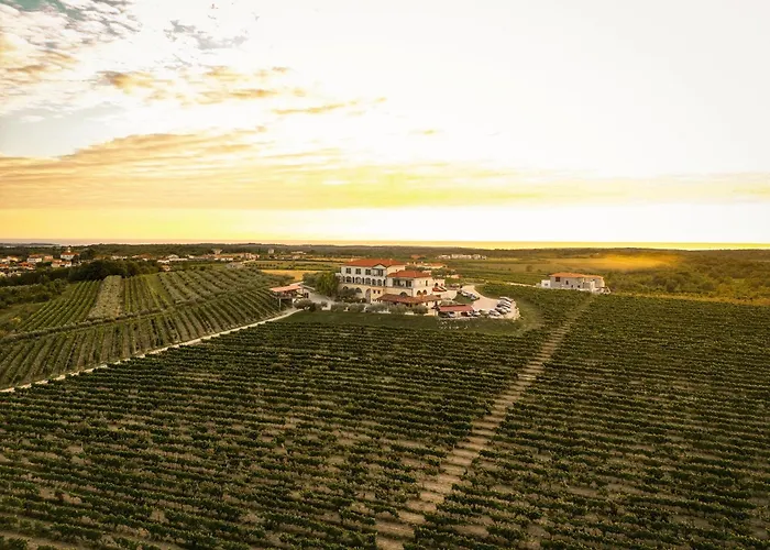 Wine Residence Cattunar
